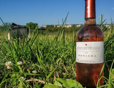 Обзор Nuviana Cabernet Sauvignon - Tempranillo Rosado 2015