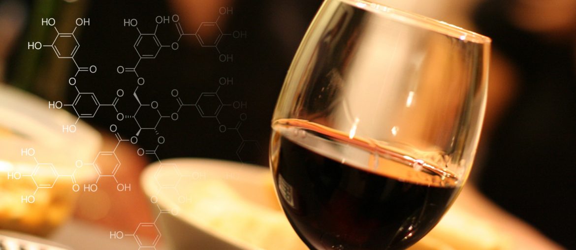 химия вина - танины