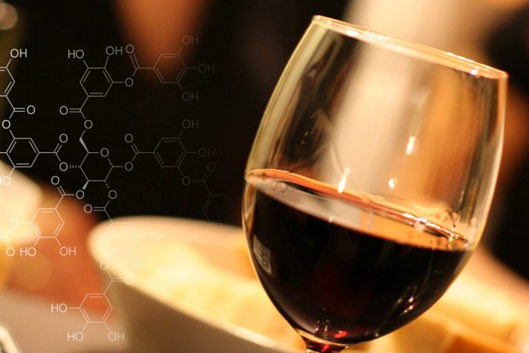 химия вина - танины