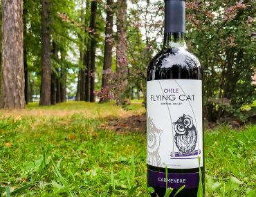 Viña Requingua Flying Cat Carmenere обзор и дегустация