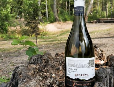 Ventisquero Chardonnay 2016 обзор и дегустация