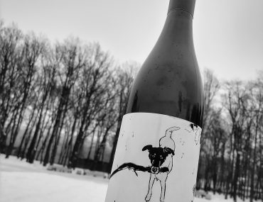 Shelter Lovely Lilly Pinot Noir 2016 отзыв на вино