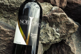 Обзор Nobilomo - полусладкое вино из Италии