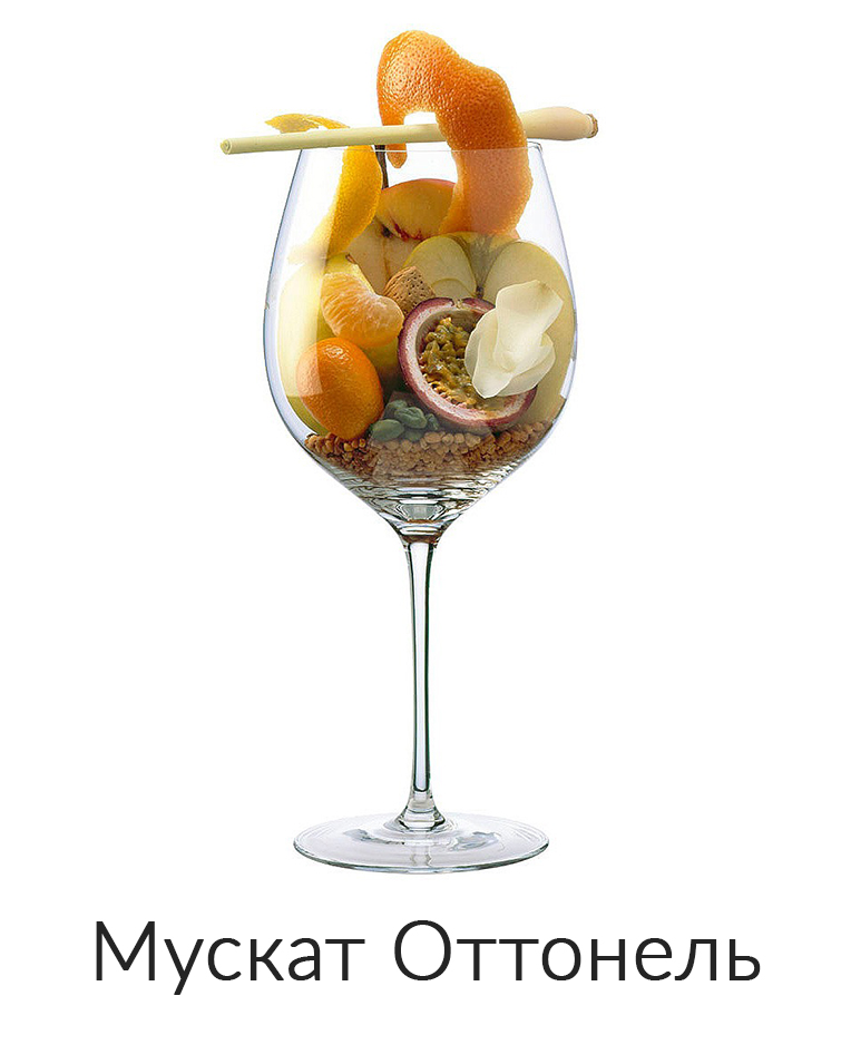 Мускат Оттонель ароматы