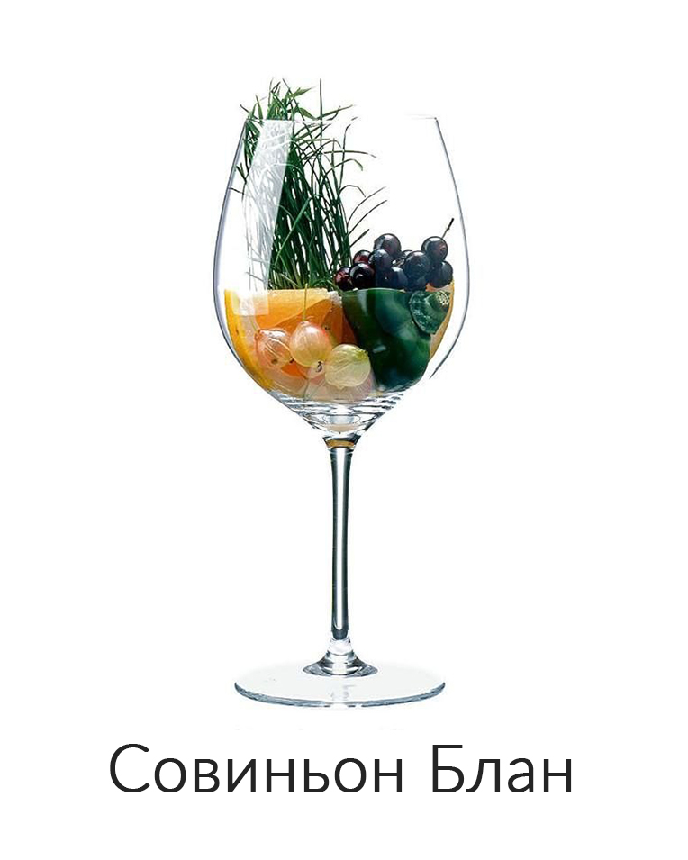Совиньон Блан ароматы