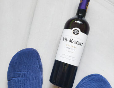 Обзор Viu Manent Carmenere Estate Collection Reserva, 2018