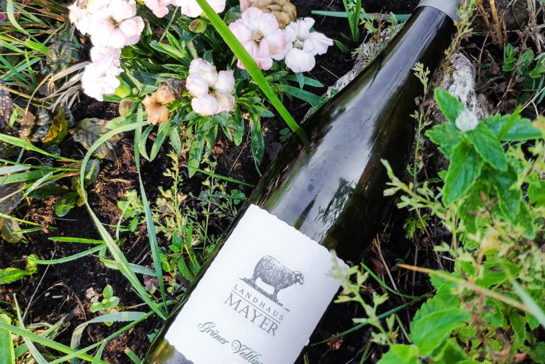 Landhaus Mayer Grüner Veltliner, 2018