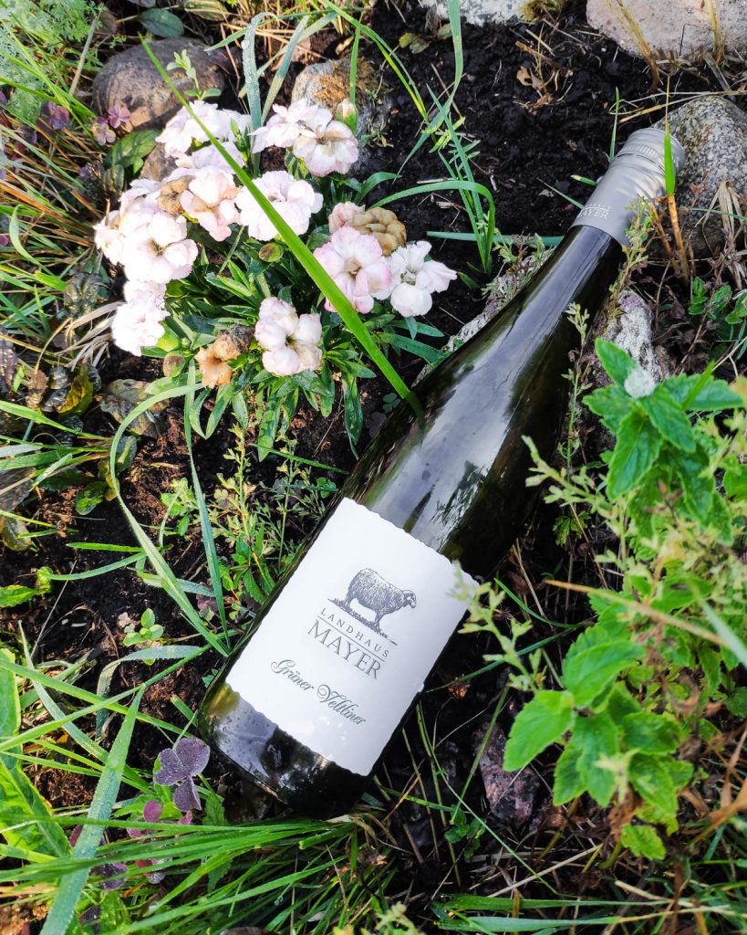 Landhaus Mayer Grüner Veltliner, 2018