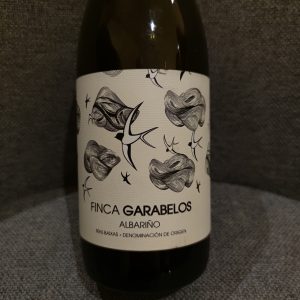 Albariño Finca Garabelos (17)